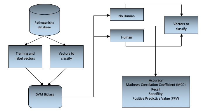 Polynomial Classification Chart