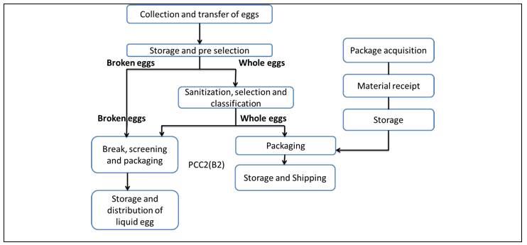 Chicken Classification Chart